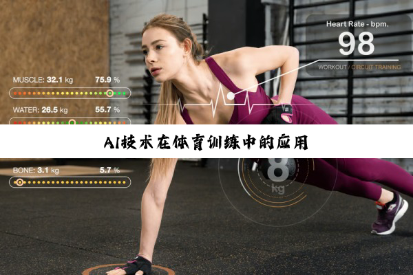 AI技术在体育训练中的应用