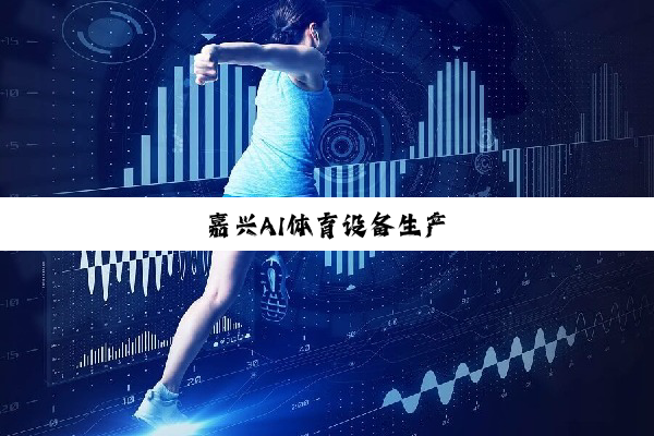 嘉兴AI体育设备生产