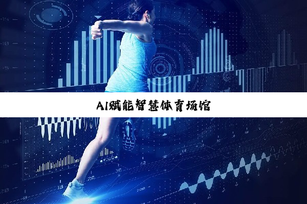 AI赋能智慧体育场馆